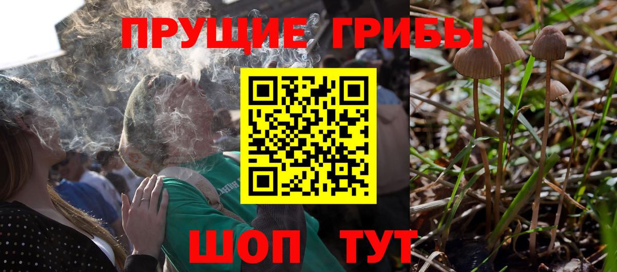 Галлюциногенные грибы ЛСД Новотроицк